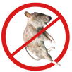 Dead Animal Removal Tootgarook