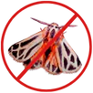 Moth Control Tootgarook