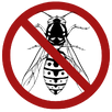 Wasp Control Tootgarook